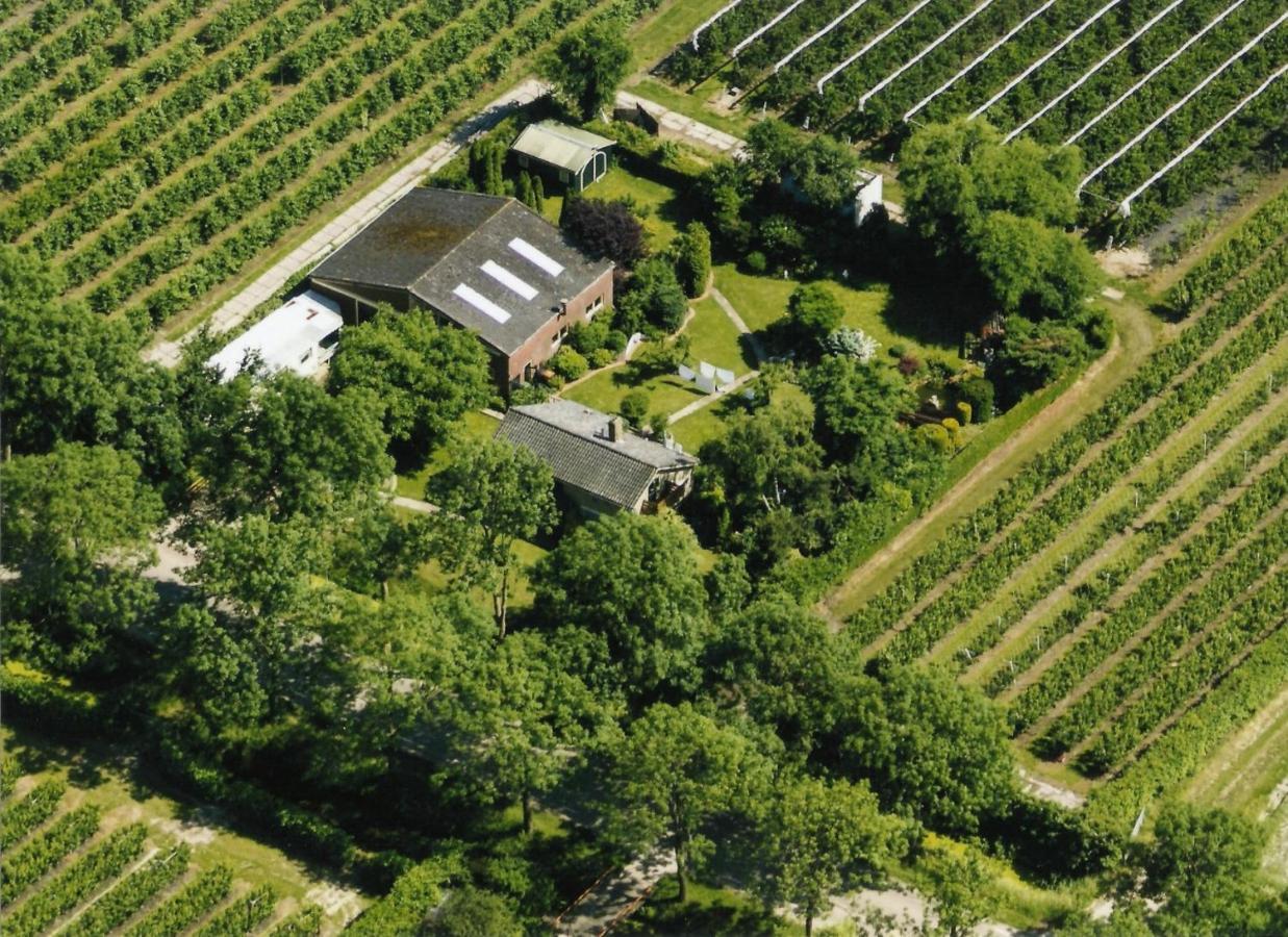 B&B Elbahof, Goed En Goedkoop! Hem Extérieur photo