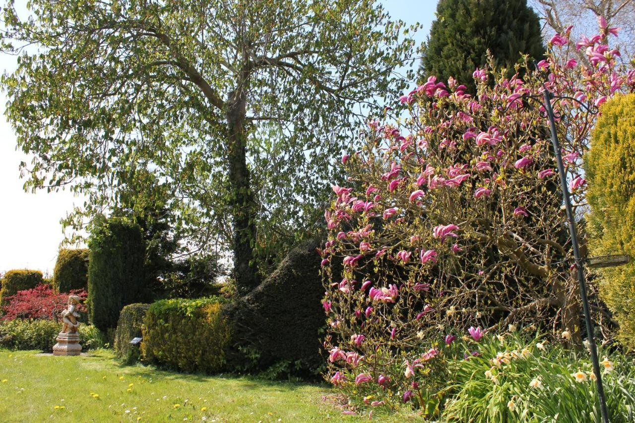 B&B Elbahof, Goed En Goedkoop! Hem Extérieur photo