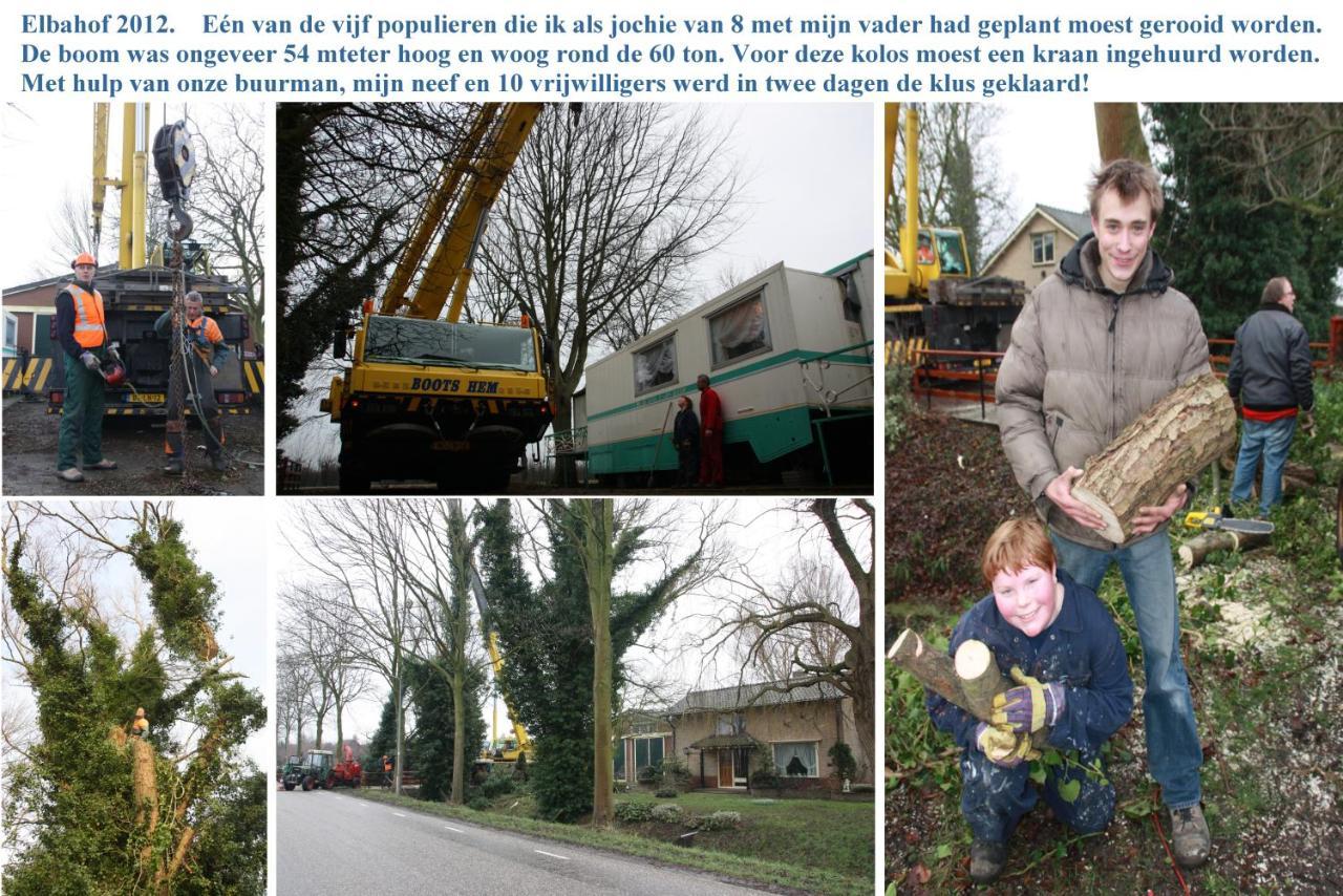 B&B Elbahof, Goed En Goedkoop! Hem Extérieur photo